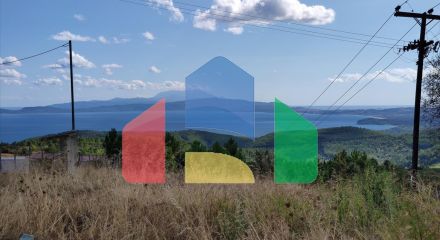 Продаж - Земельна ділянка 100000 m² на Афоні (Халкідіки)