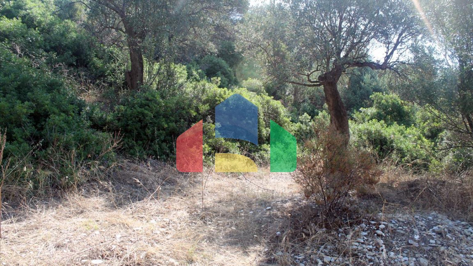 Продаж - Земельна ділянка 2850 m² на Афоні (Халкідіки)