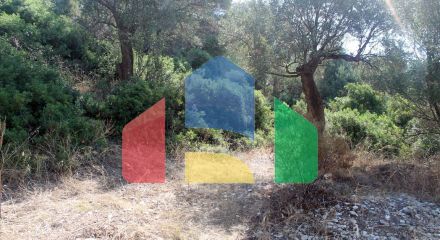 Продаж - Земельна ділянка 2850 m² на Афоні (Халкідіки)