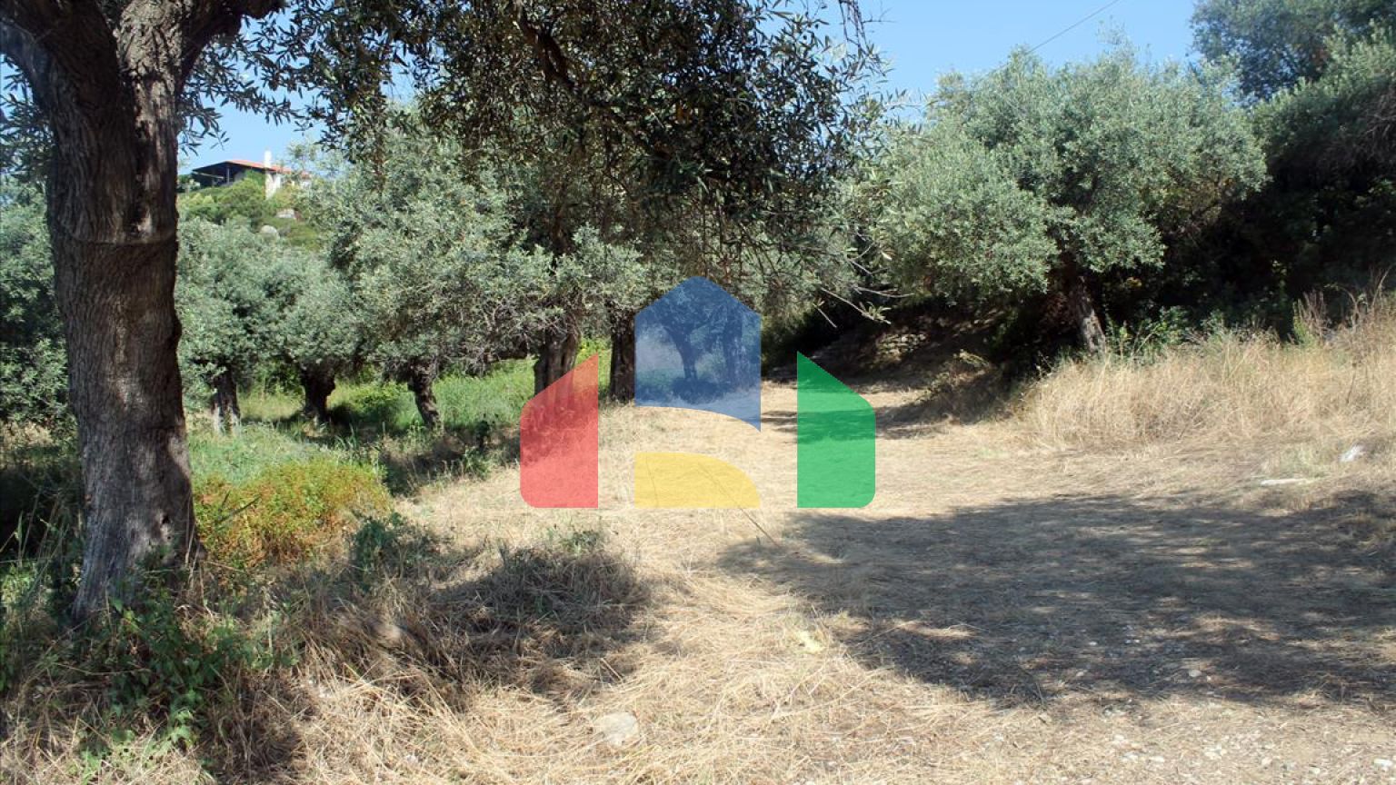 Продаж - Земельна ділянка 2850 m² на Афоні (Халкідіки)