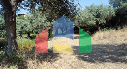 Продаж - Земельна ділянка 2850 m² на Афоні (Халкідіки)