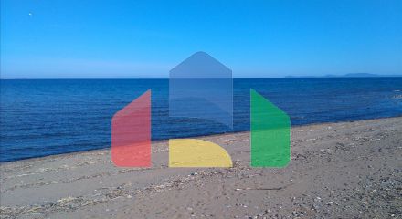 Продаж - Земельна ділянка 4100 m² на Афоні (Халкідіки)