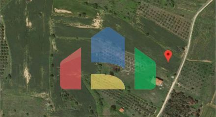Продажа - Земельный участок 9800 m² на Афоне (Халкидики)