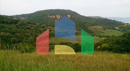 For Sale - Land 11300 m² in Athos, Chalkidiki