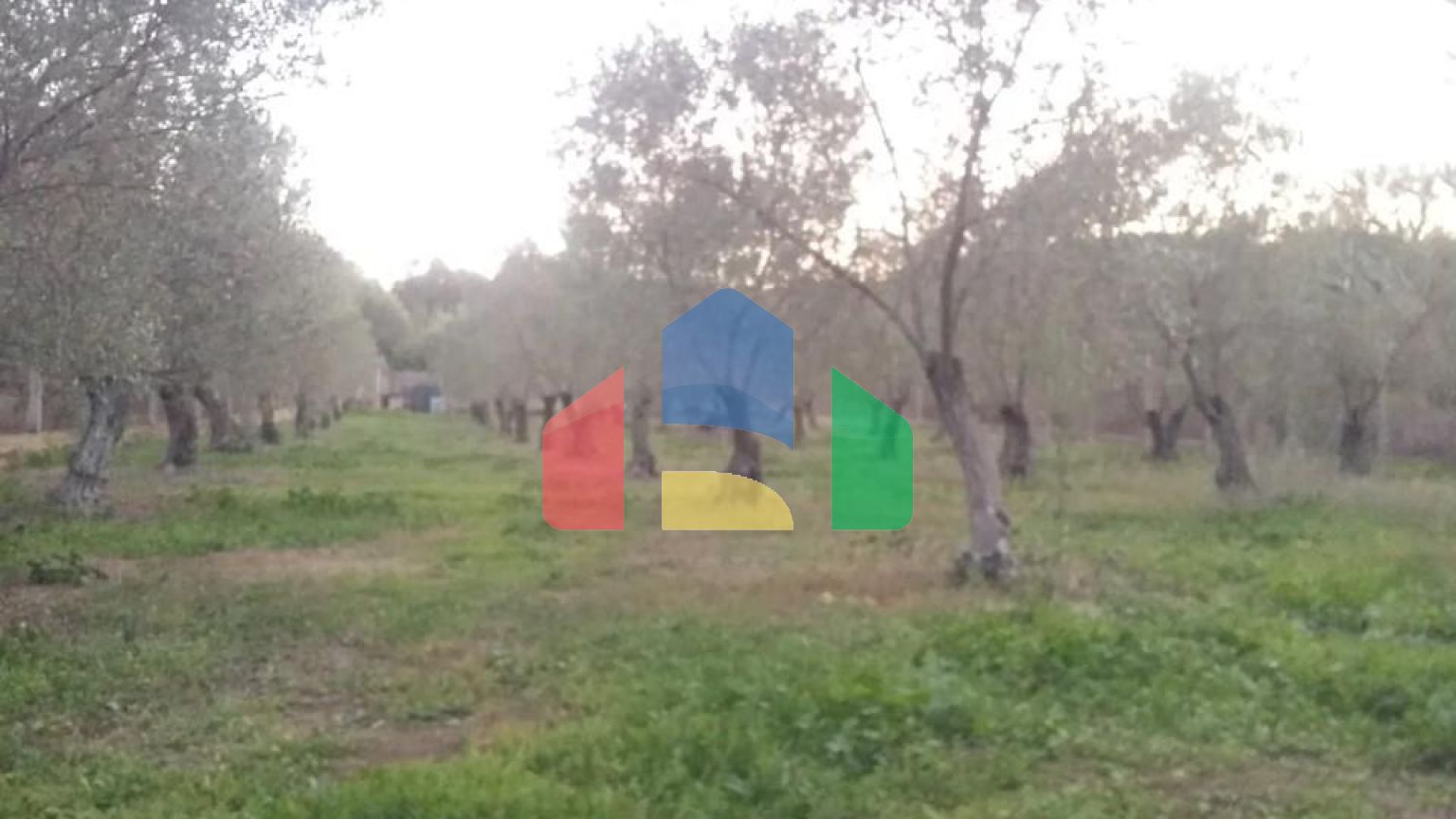 Продаж - Готель 350 m² на Афоні (Халкідіки)