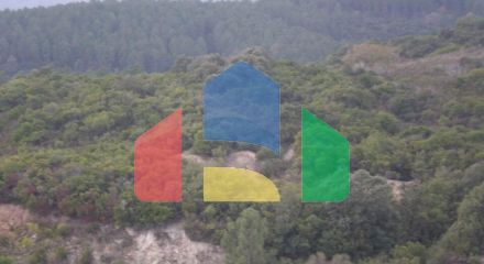 Продажа - Земельный участок 4785000 m² на Афоне (Халкидики) Продажа - Земельный участок 4785000 m² на Афоне (Халкидики)