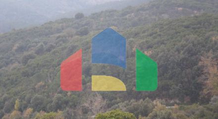 Продажа - Земельный участок 4785000 m² на Афоне (Халкидики) Продажа - Земельный участок 4785000 m² на Афоне (Халкидики)