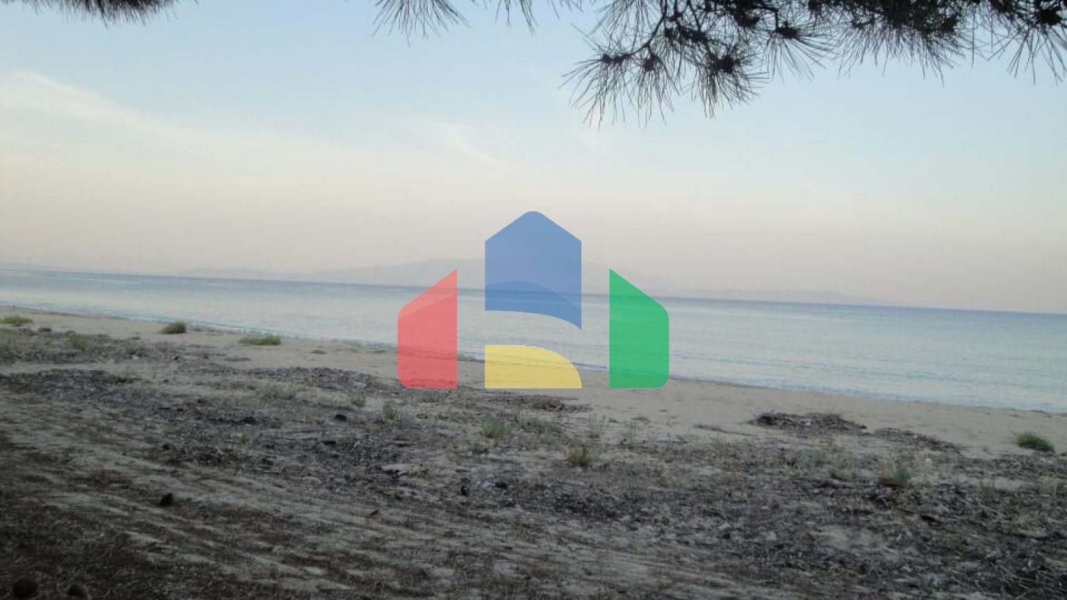 Продажа - Земельный участок 4785000 m² на Афоне (Халкидики)