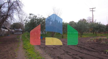 Продажа - Земельный участок 4560 m² на Афоне (Халкидики)