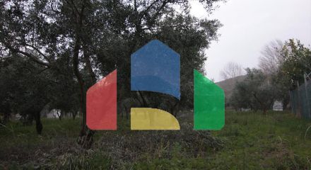 Продажа - Земельный участок 4560 m² на Афоне (Халкидики)