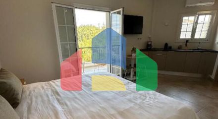 Продаж - Готель 530 m² на Афоні (Халкідіки)