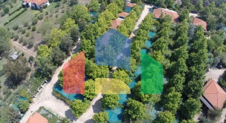 For Sale - Land 33802 m² in Athos, Chalkidiki