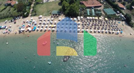 Продажа - Земельный участок 33802 m² на Афоне (Халкидики) Продажа - Земельный участок 33802 m² на Афоне (Халкидики)