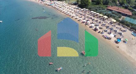 Продажа - Земельный участок 33802 m² на Афоне (Халкидики) Продажа - Земельный участок 33802 m² на Афоне (Халкидики)