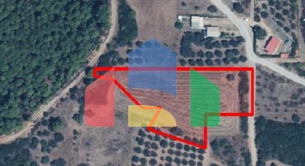 Продажа - Земельный участок 4500 m² на Афоне (Халкидики)