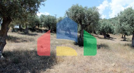 Продажа - Земельный участок 5568 m² на Афоне (Халкидики)