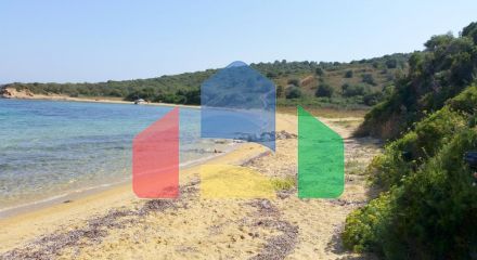 For Sale - Land 12000 m² in Athos, Chalkidiki