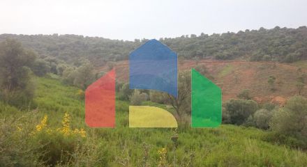 For Sale - Land 12000 m² in Athos, Chalkidiki
