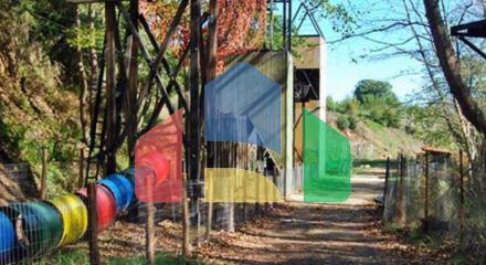 Продаж - Бізнес 700 m² на Афоні (Халкідіки)