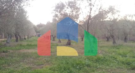 Продажа - Коттедж 350 m² на Афоне (Халкидики)