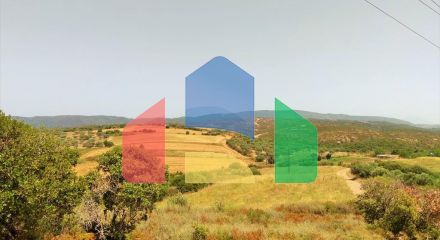Продаж - Земельна ділянка 10750 m² на Афоні (Халкідіки)