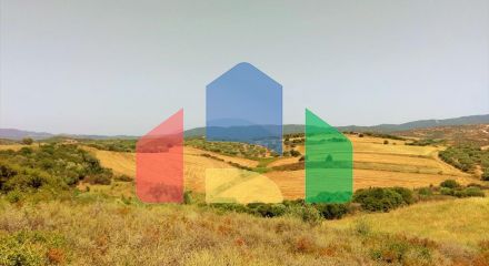 Продаж - Земельна ділянка 10750 m² на Афоні (Халкідіки)