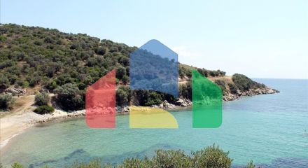 For Sale - Land 16500 m² in Athos, Chalkidiki