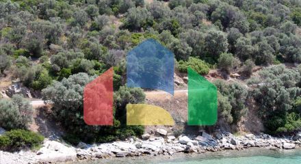 For Sale - Land 16500 m² in Athos, Chalkidiki