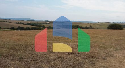 Продаж - Земельна ділянка 13000 m² на Афоні (Халкідіки)