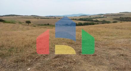 Продаж - Земельна ділянка 13000 m² на Афоні (Халкідіки)