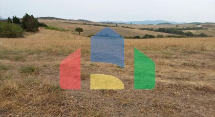Продаж - Земельна ділянка 13000 m² на Афоні (Халкідіки)