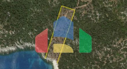 Продаж - Земельна ділянка 11370 m² на Афоні (Халкідіки)