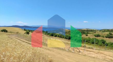 Продаж - Земельна ділянка 9000 m² на Афоні (Халкідіки)