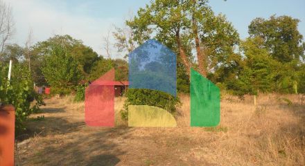 Продажа - Земельный участок на Афоне (Халкидики) Продажа - Земельный участок на Афоне (Халкидики)