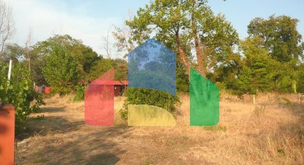 Продажа - Земельный участок на Афоне (Халкидики) Продажа - Земельный участок на Афоне (Халкидики)