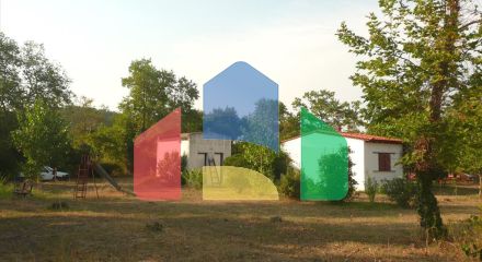 Продажа - Земельный участок на Афоне (Халкидики) Продажа - Земельный участок на Афоне (Халкидики)