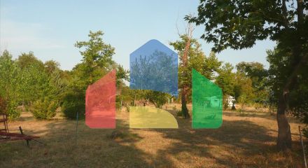 Продажа - Земельный участок на Афоне (Халкидики) Продажа - Земельный участок на Афоне (Халкидики)