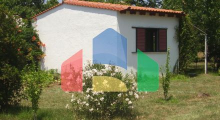 Продажа - Земельный участок на Афоне (Халкидики) Продажа - Земельный участок на Афоне (Халкидики)