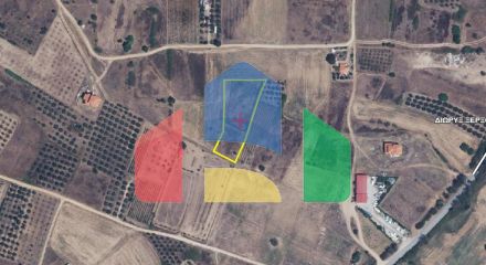Продажа - Земельный участок 3592 m² на Афоне (Халкидики)