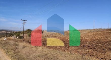 Продаж - Земельна ділянка 4752 m² на Афоні (Халкідіки)