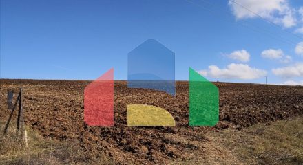 Продаж - Земельна ділянка 4752 m² на Афоні (Халкідіки)
