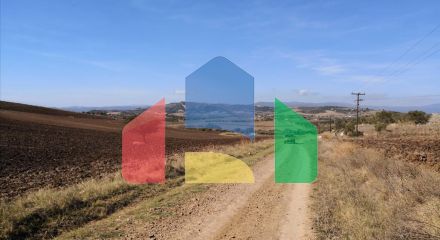 Продаж - Земельна ділянка 4752 m² на Афоні (Халкідіки)