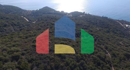 For Sale - Land 12415 m² in Athos, Chalkidiki