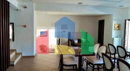 Продажа - Гостиница 1000 m² на Афоне (Халкидики) Продажа - Гостиница 1000 m² на Афоне (Халкидики)