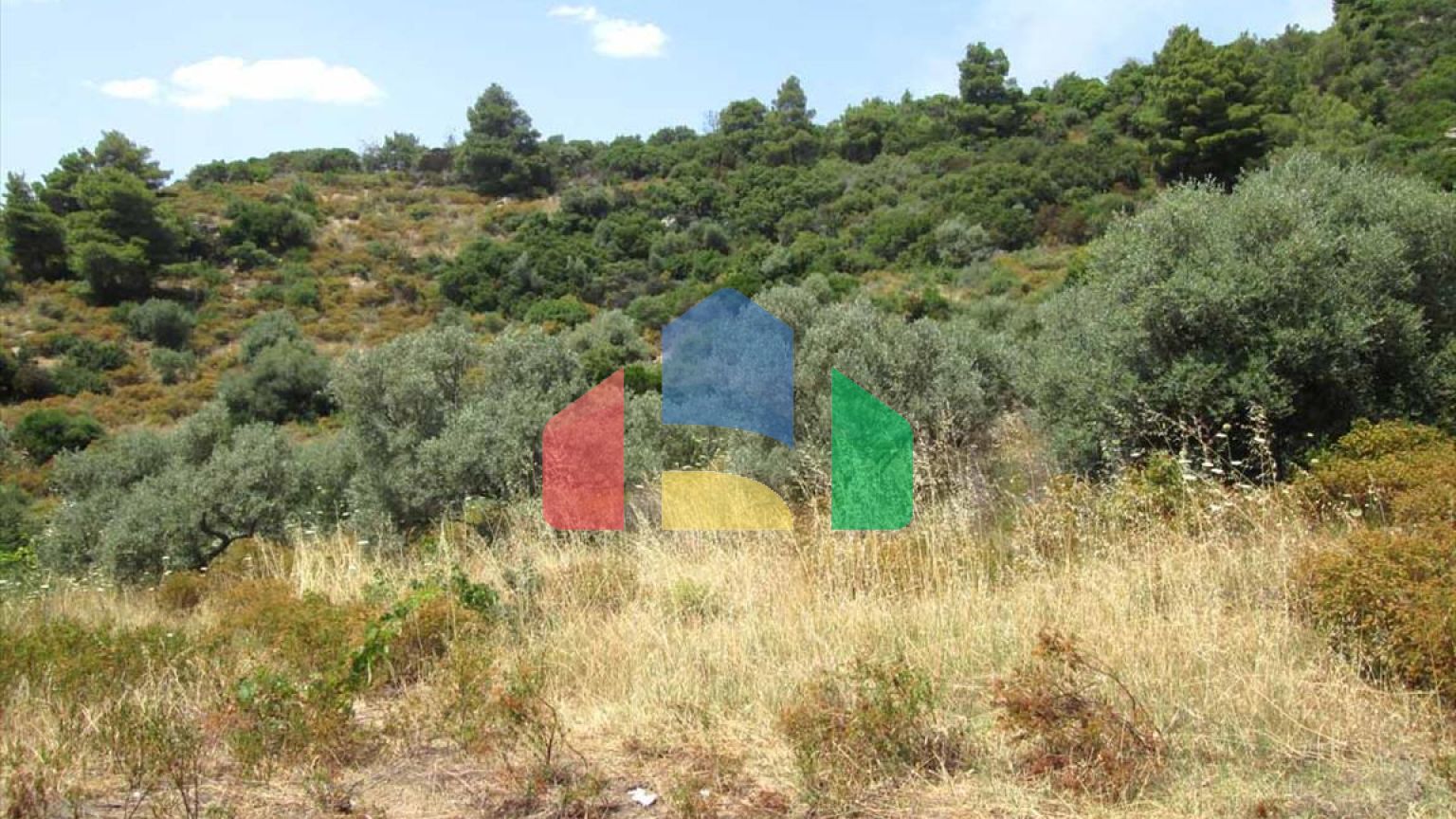 Продажа - Земельный участок 10500 m² на Афоне (Халкидики)