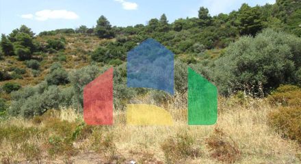 Продажа - Земельный участок 10500 m² на Афоне (Халкидики)