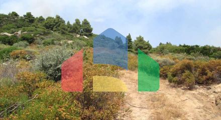 Продажа - Земельный участок 10500 m² на Афоне (Халкидики)