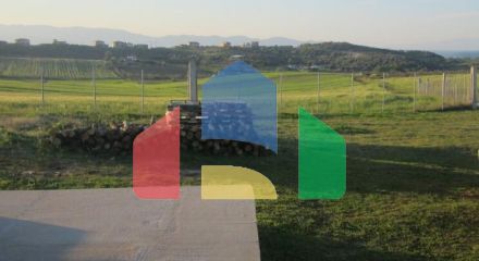 Продаж - Земельна ділянка 5000 m² на Афоні (Халкідіки)