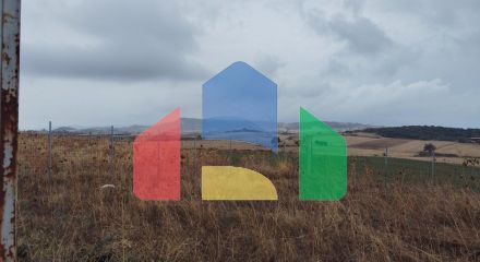 Продаж - Земельна ділянка 5000 m² на Афоні (Халкідіки)