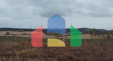 Продаж - Земельна ділянка 5000 m² на Афоні (Халкідіки)